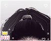 BB Cat Hair Morgana