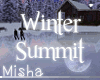 M| Winter Summit Dec Bun