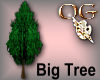 *crp/OG/Big Tree