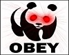 Obey Panda room