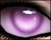Pixie - Eyes 5