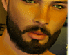 beard TOP