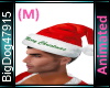 [BD]AnimatedSantaHat(M)