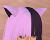 Pink Violet Ombre Ears