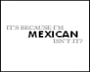 Its Because Im Mexican