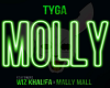 Tyga /Molly