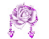 purple rose with diamond