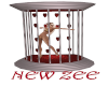 TNZ Dance Cage 1