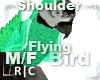 R|C Bird Green M/F