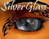 Silver Glass