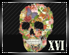 XVI | Vanity Skull