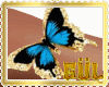 ♀ Eden butterfly arm