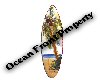(DC)OceanFrontPropertySn