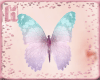H|Pastel Butterfly Belly