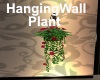 [BD]HangingWallPlant