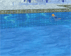 Swimming Butterflystroke