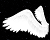 Angel Wings - Small