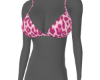 Cheetahlicious