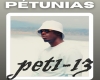 Werenoi- Petunias