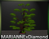 MxD Valentine Plant V2