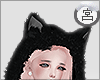 宮。 Kawaii Kuro Kitty