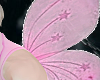 Fairy Wings