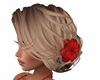 Rose ombre