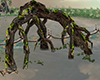 #oN Spring Roots 2