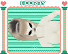 [H!] Sammy Hair v.4