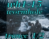 wh1-15 wormhole1/2