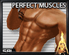 Scaler Perfect Muscle