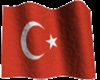 [i]Animated Turkish flag