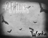 W° Bats Filters