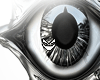 EyeEar