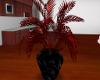 red and black plant
