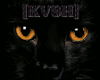 [KVSH] BLACK CAT STICKER