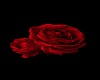 *J* Red Rose Rug