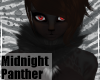 MidnightPanther-NckFurV1