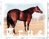 {TRUE} Country CB Desire