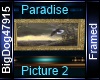 [BD] Paradise Picture 2