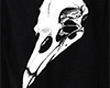 Skull(notilluminated)