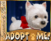 I~Adopt a Westie Bundle