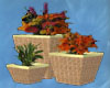 3 Rattan Potted Plants