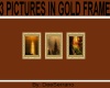 3 PICTURES IN GOLD FRAME