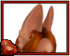 *C Anyskin Fennec Ears