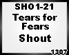 *D* Shout TearsForFears