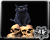 X13 Cat_Skulls AND BATS