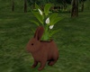 Rabbit Pot Flowers