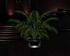 MIRAGE POTTED PLANT