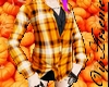 Pumpkin shirt